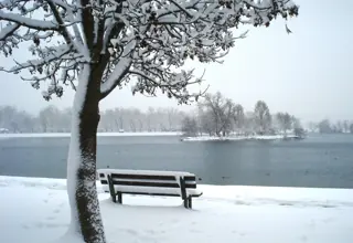 Bench by the lake on Jarun in winter