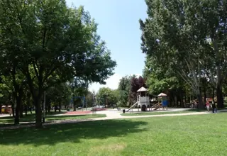 Lawn and shade around the playground in Gajnice