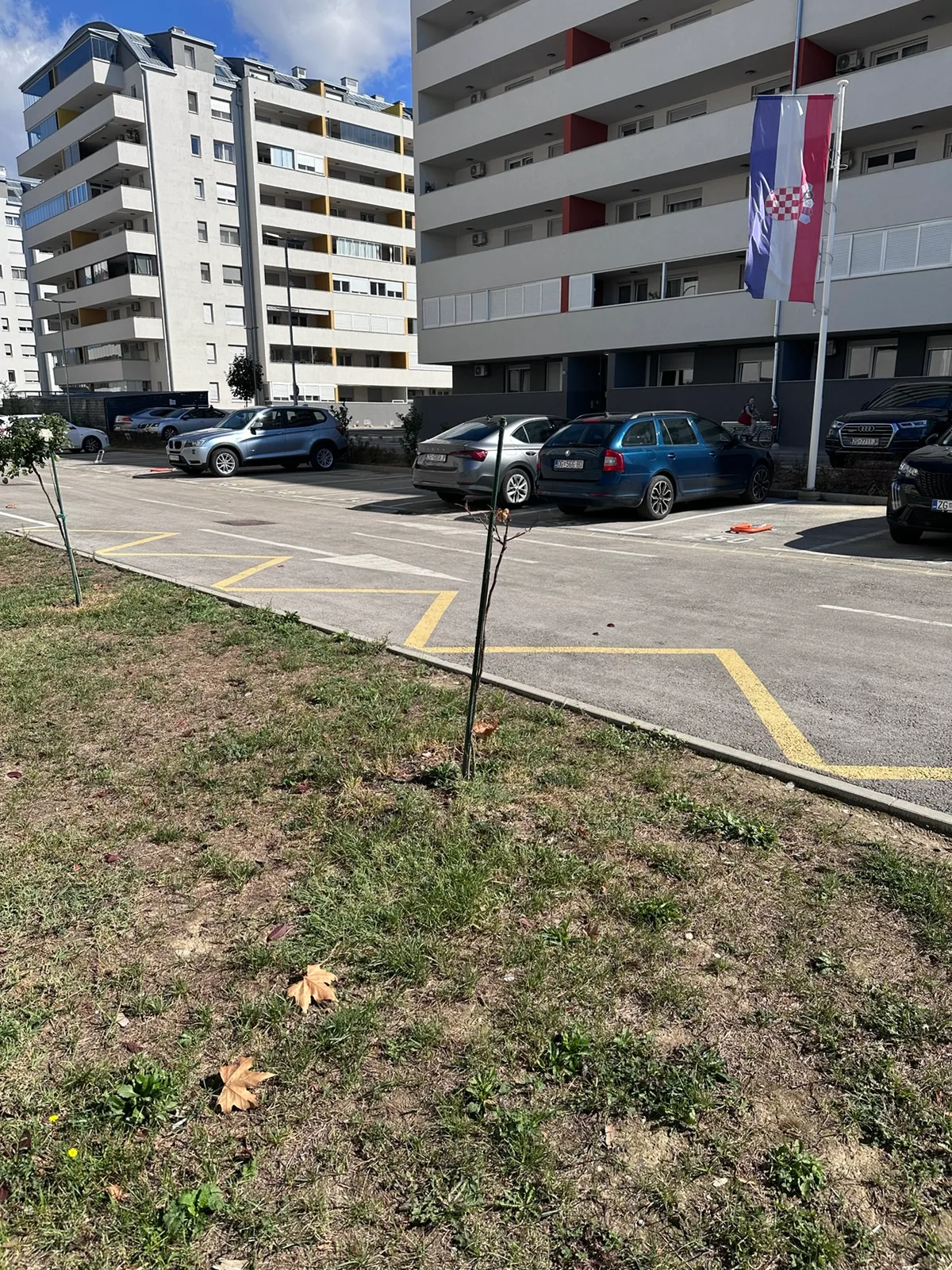 Mlado stablo uz ugao parkirališta uz zgradu D