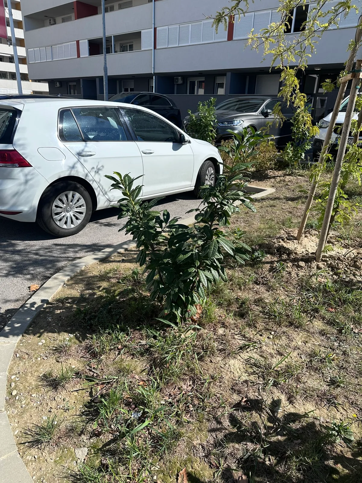 Grm uz ventilacijski otvor uz zgradu D