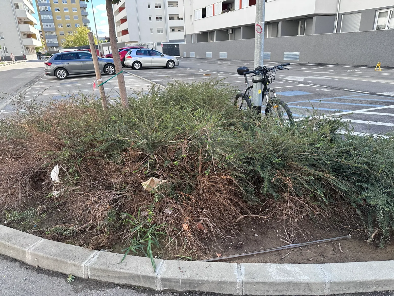 Nisko grmlje uz stablo i bicikl uz zgradu D