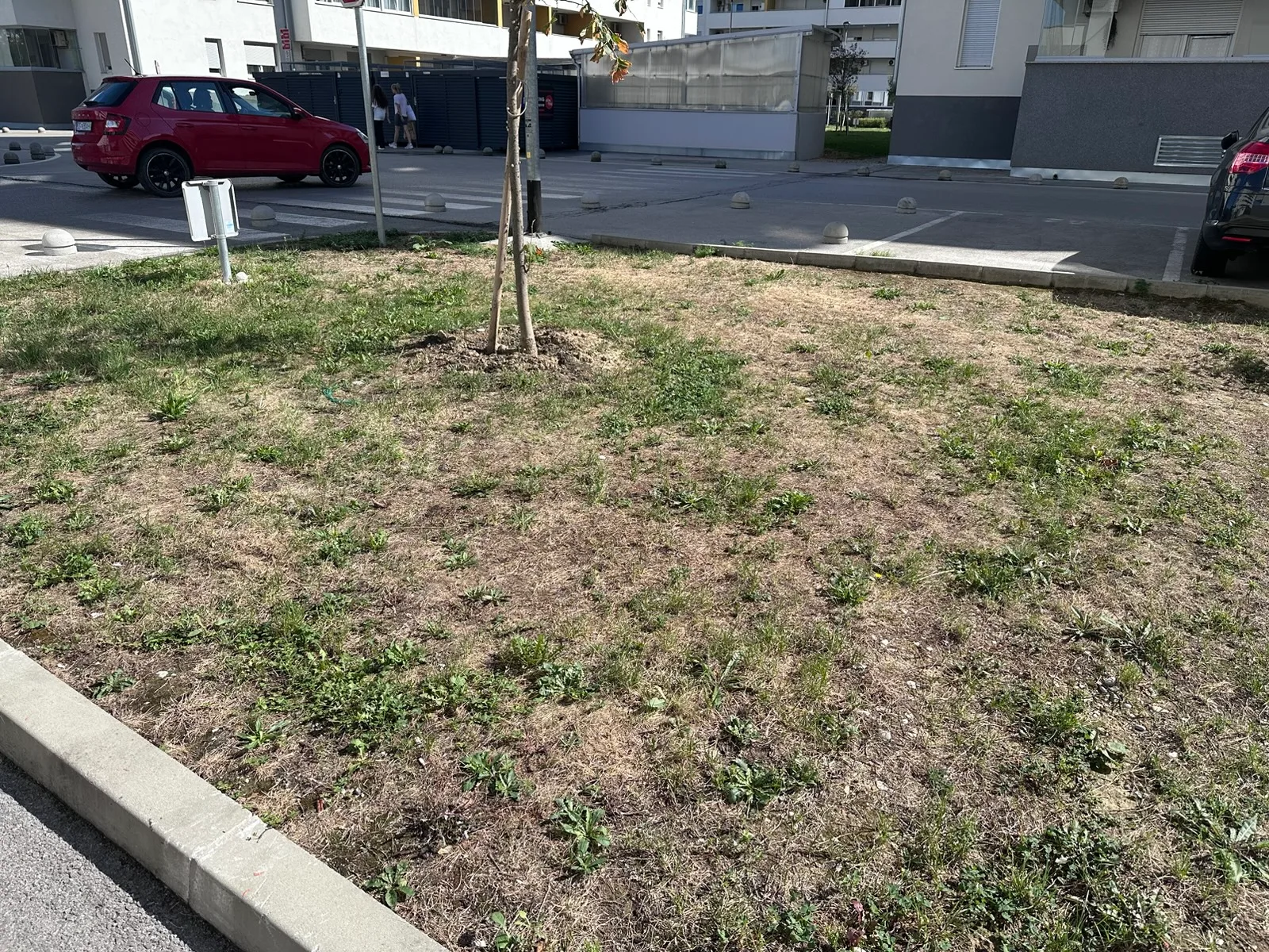 Travnjak uz sjeverni parkirališni otok uz zgradu D