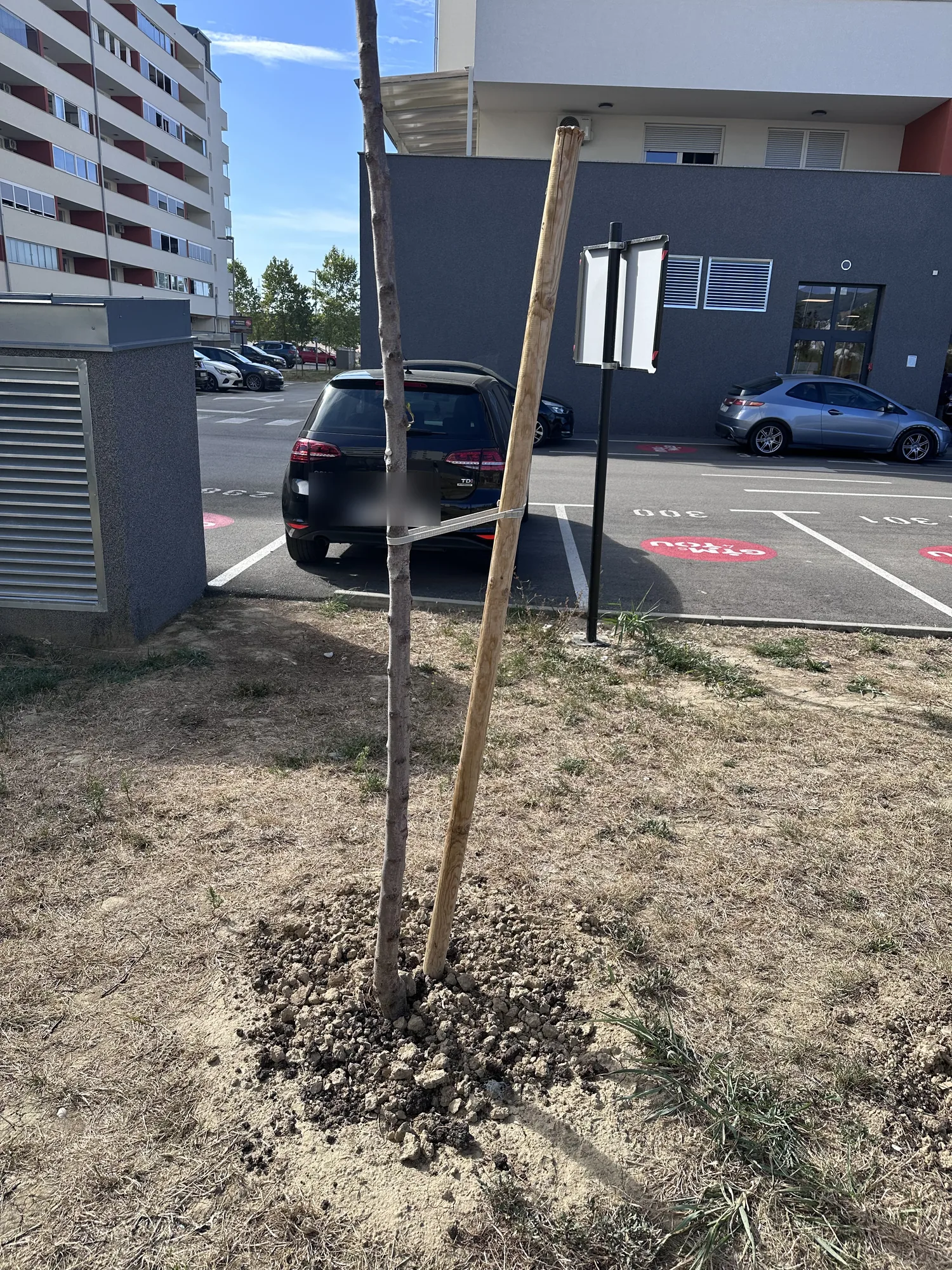 Stablo uz parkiralište i ventilacijski otvor uz zgradu E