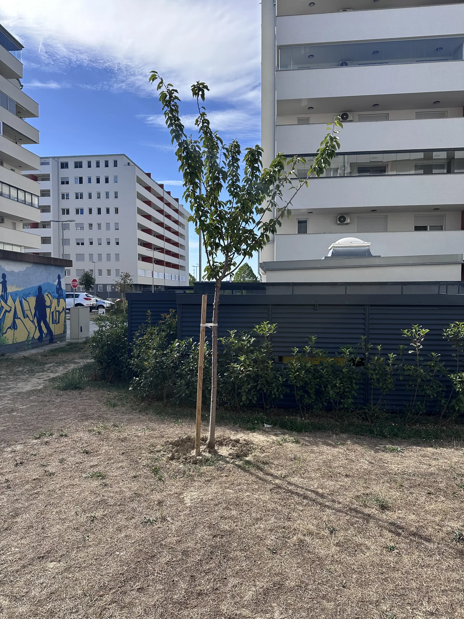 Stablo uz oslikani ormarić uz zgradu E
