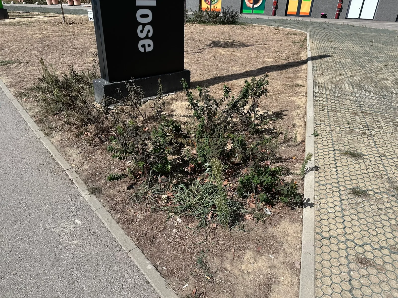 Grmlje uz reklamni stup uz zgradu F